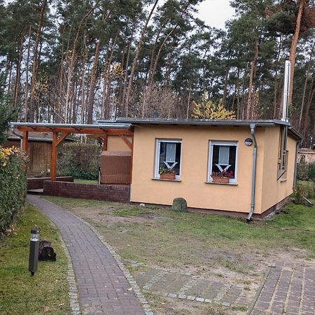 Spreewaldhaeuser Golinski Mit Kamin Am Neuendorfer See Alt Schadow Exterior foto