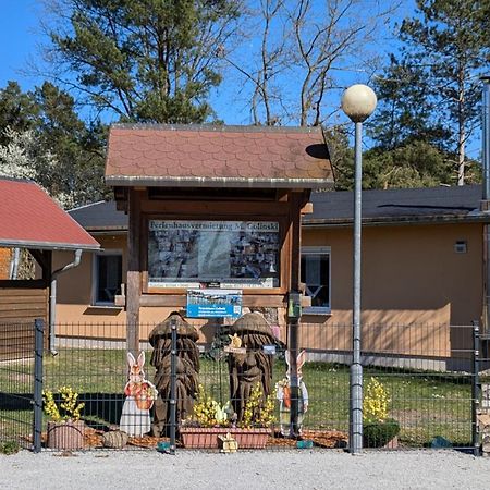 Spreewaldhaeuser Golinski Mit Kamin Am Neuendorfer See Alt Schadow Exterior foto